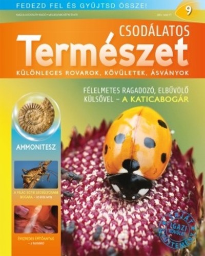 CSODÁLATOS TERMÉSZET 09. - KÜLÖNLEGES ROVAROK, KÖVÜLETEK, ÁSVÁNYOK /AMMONITESZ
