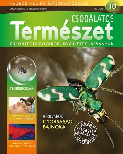 CSODÁLATOS TERMÉSZET 10. - KÜLÖNLEGES ROVAROK, KÖVÜLETEK, ÁSVÁNYOK /TIGRISBOGÁR