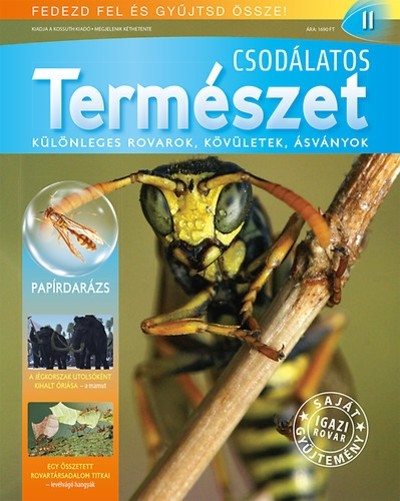 CSODÁLATOS TERMÉSZET 11. - KÜLÖNLEGES ROVAROK, KÖVÜLETEK, ÁSVÁNYOK /PAPÍRDARÁZS