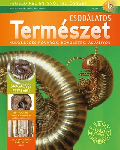 CSODÁLATOS TERMÉSZET 12. - KÜLÖNLEGES ROVAROK, KÖVÜLETEK, ÁSVÁNYOK /SÁRGAÖVES EZERLÁBÚ