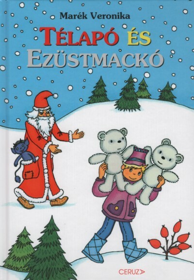 Télapó és ezüstmackó (2. kiadás) §K