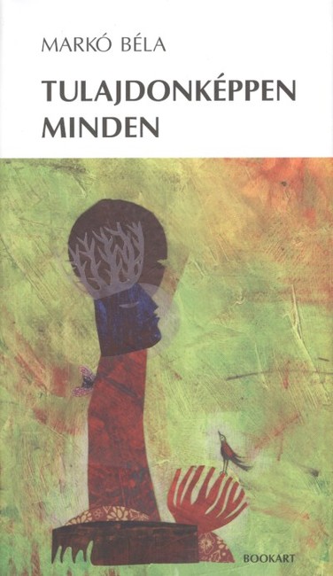 TULAJDONKÉPPEN MINDEN