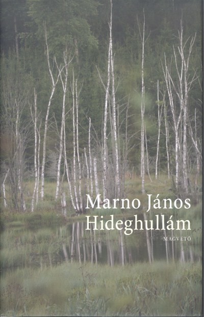 Hideghullám
