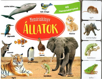 Memóriakönyv: Állatok - 40 memóriakártyával