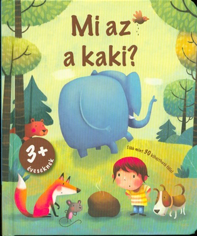 Mi az a kaki?