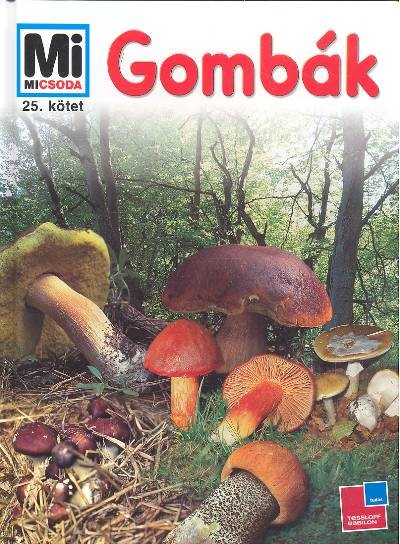 GOMBÁK /MI MICSODA 25.