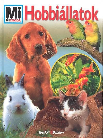 HOBBIÁLLATOK /MI MICSODA 19.