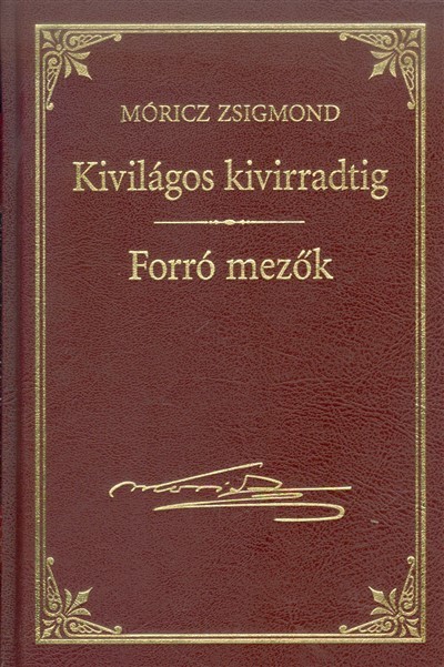 KIVILÁGOS KIVIRRADTIG - FORRÓ MEZŐK /MÓRICZ ZSIGMOND 15.