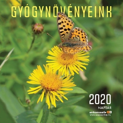 Gyógynövényeink naptár 2020 22x22 cm