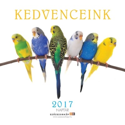 KEDVENCEINK 2017. NAPTÁR