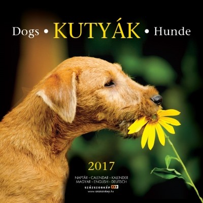 KUTYÁK 2017. NAPTÁR /DOGS - HUNDE