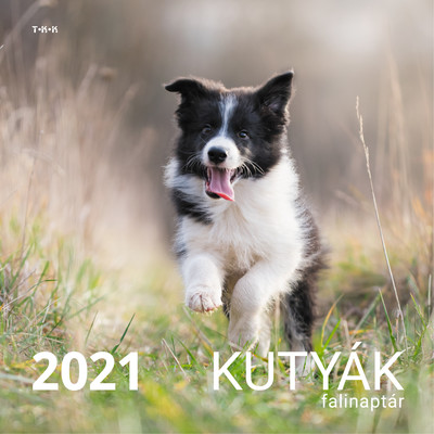 Kutyák Falinaptár 2021