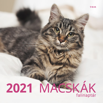 Macskák falinaptár 2021