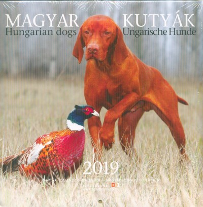Magyar kutyák - Hungarian dogs - Ungarische Hunde 2019. naptár