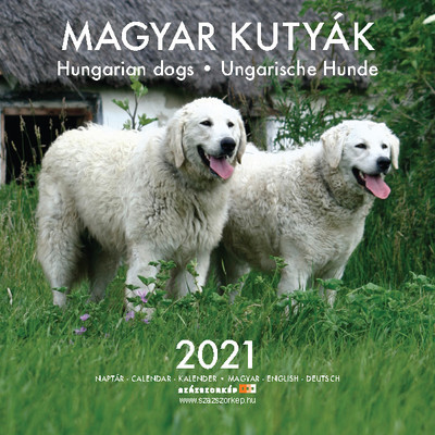 Magyar Kutyák naptár 2021 20x20 cm
