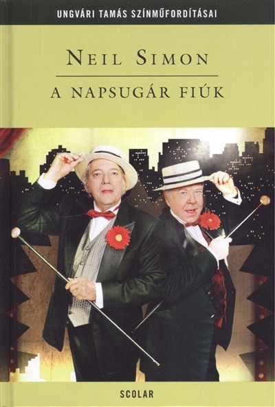 A NAPSUGÁR FIÚK