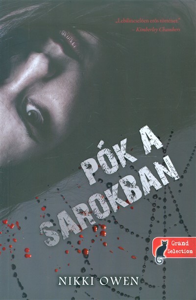 Pók a sarokban