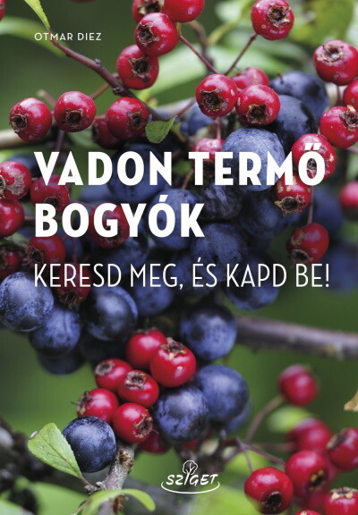 Vadon termő bogyók - Keresd meg, és kapd be!