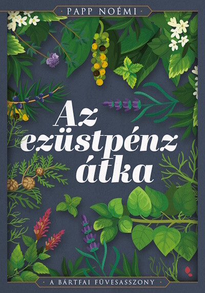 Az ezüstpénz átka - A bártfai füvesasszony 1.