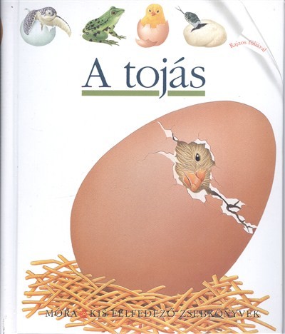 A tojás /Kis felfedező zsebkönyvek