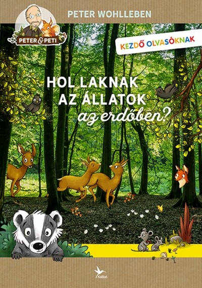 Hol laknak az állatok az erdőben?