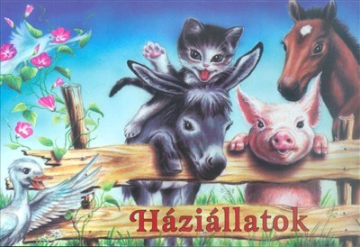 Háziállatok /Leporelló