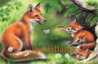 Vadállatok - Leporelló (új kiadás)