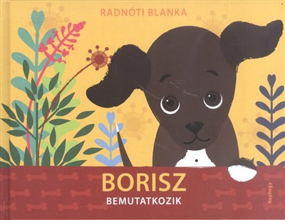 Borisz bemutatkozik