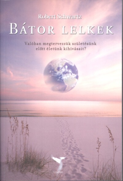 Bátor lelkek /Valóban megtervezzük születésünk előtt életünk kihívásait?