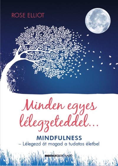 Minden egyes lélegzeteddel . . . /Mindfulness - lélegezd át magad a tudatos életbe!