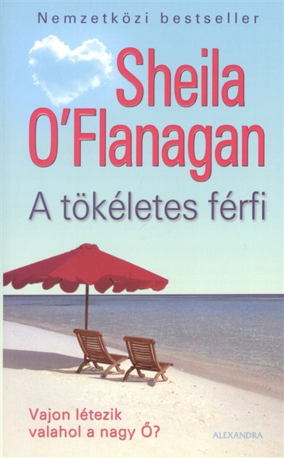 A TÖKÉLETES FÉRFI /VAJON LÉTEZIK VALAHOL A NAGY Ő?