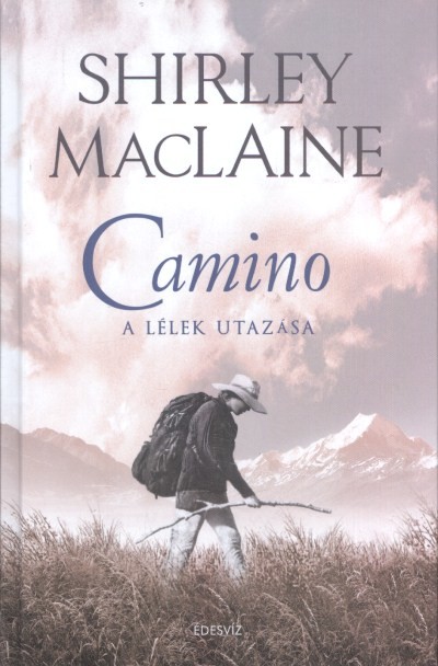 Camino /A lélek utazása