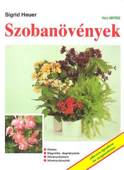 Szobanövények