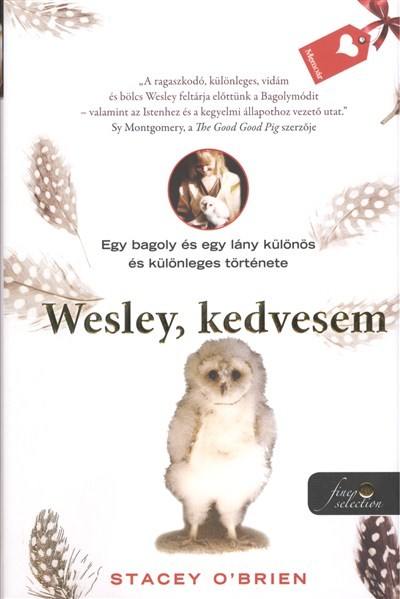 WESLEY, KEDVESEM