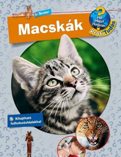 Macskák - Profi Tudás