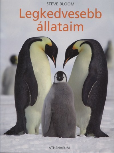 LEGKEDVESEBB ÁLLATAIM