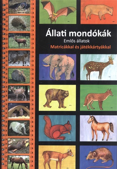 ÁLLATI MONDÓKÁK - EMLŐS ÁLLATOK /MATRICÁKKAL ÉS JÁTÉKKÁRTYÁKKAL