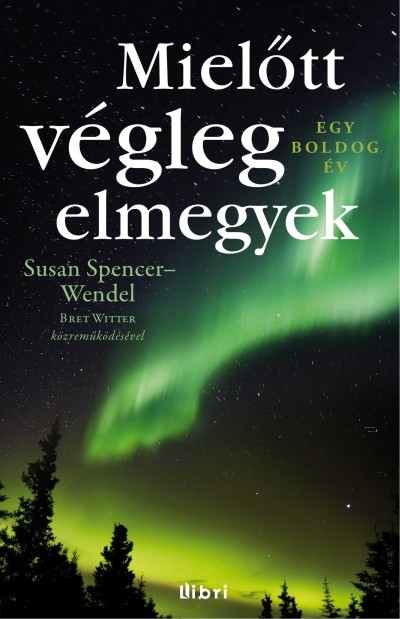 MIELŐTT VÉGLEG ELMEGYEK /EGY BOLDOG ÉV