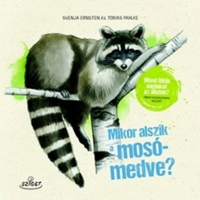 Mikor alszik a mosómedve? /Mivel töltik napjukat az állatok?