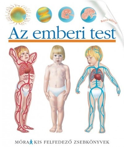 Az emberi test /Kis felfedező zsebkönyvek