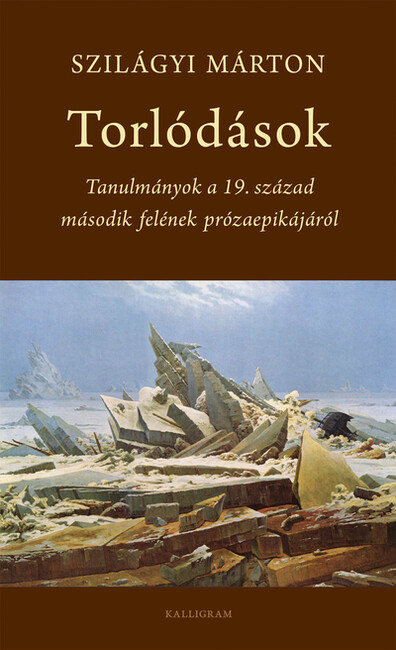 Torlódások - Tanulmányok a 19. század második felének prózaepikájáról