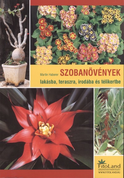 SZOBANÖVÉNYEK /LAKÁSBA, TERASZRA, IRODÁBA ÉS TÉLIKERTBE
