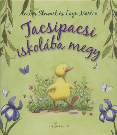 TACSIPACSI ISKOLÁBA MEGY