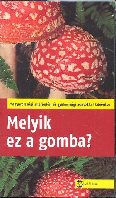 MELYIK EZ A GOMBA?