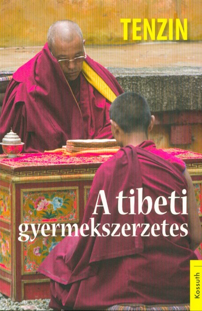 A tibeti gyermekszerzetes