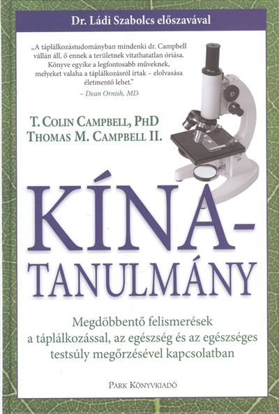 Kína-Tanulmány