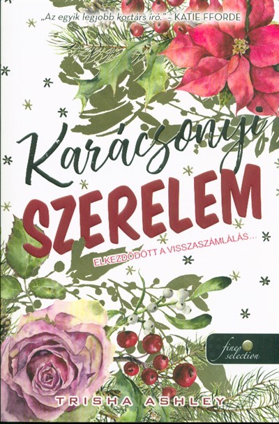 Karácsonyi szerelem - Elkezdődött a visszaszámlálás . . .