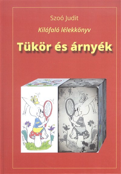 TÜKÖR ÉS ÁRNYÉK /KILÓFALÓ LÉLEKKÖNYV