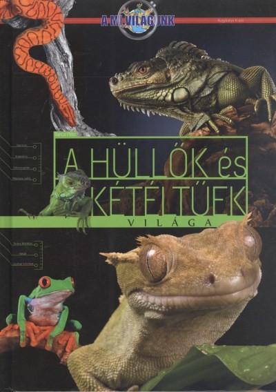 A HÜLLŐK ÉS KÉTÉLTŰEK VILÁGA /A MI VILÁGUNK