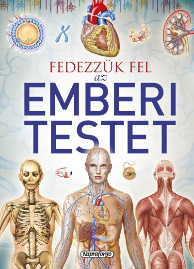 Fedezzük fel az emberi testet - Tudástár